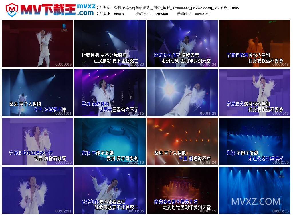 张国荣-发烧(翻新老歌)_国语_流行_YE800337
